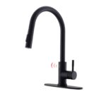 Black Kitchen Sink 1-handle Faucet with Pull Down Sprayer