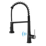 Black or Brush Nickel Commercial 2-Function Pull down Kitchen Faucet