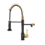 Black Pull-down Kitchen Faucet With Two Spouts