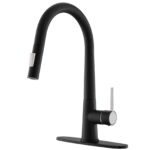 Black Single-Handle Pull-out Faucet