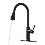 Black Stainless Steel Kitchen Faucets Are Versatile